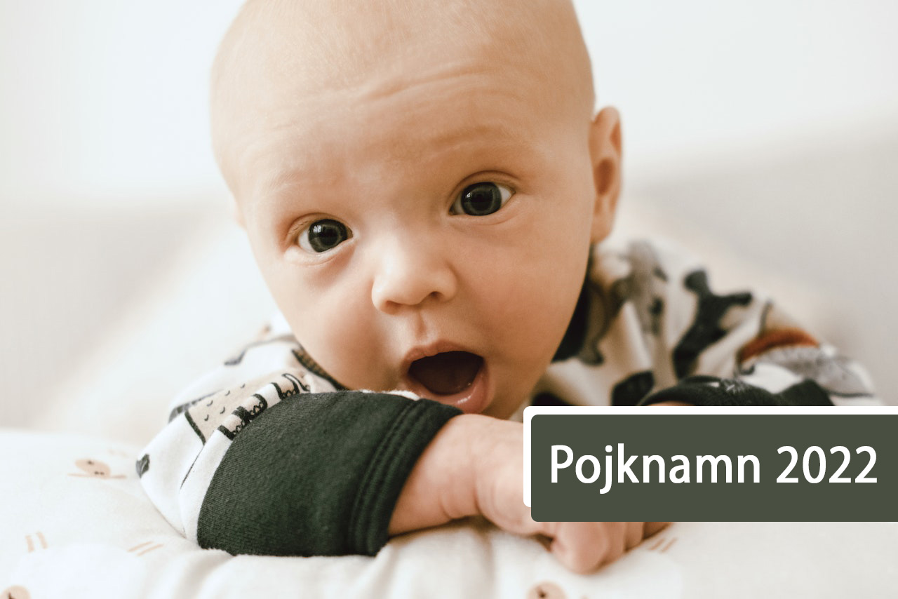 Pojknamn 2022 topp 100 mest populära namnen för pojkar Namntema